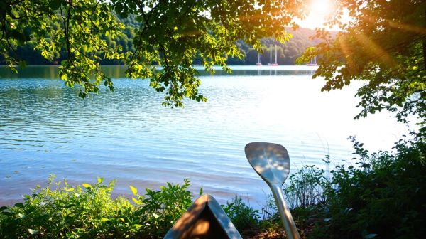 Top 5 paddles pour une expérience de glisse inoubliable